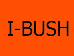 I-BUSH